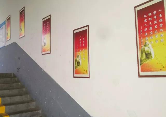 微信图片_20180120151432.jpg