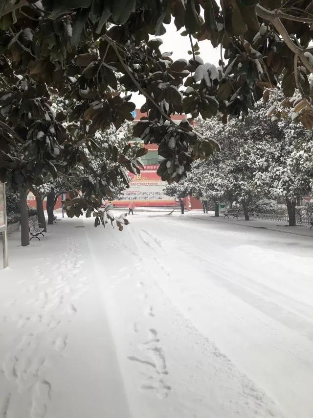 微信图片_20180105102625.jpg
