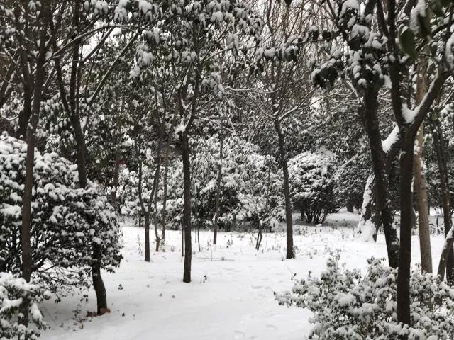 微信图片_20180105102713.jpg